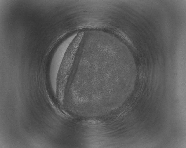 X0000082180542200702092312