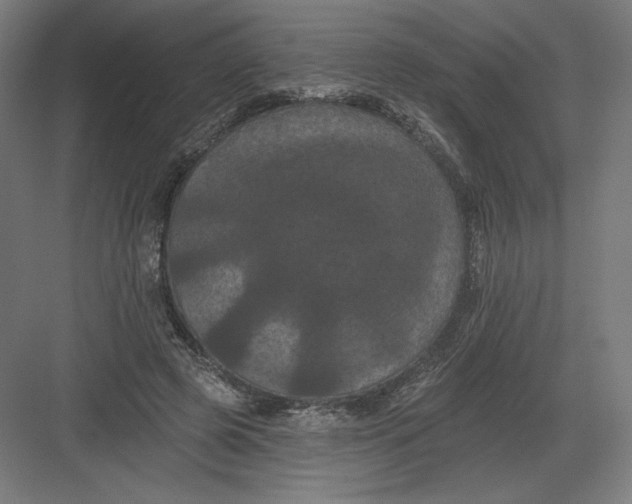 X0000082180545200702092312