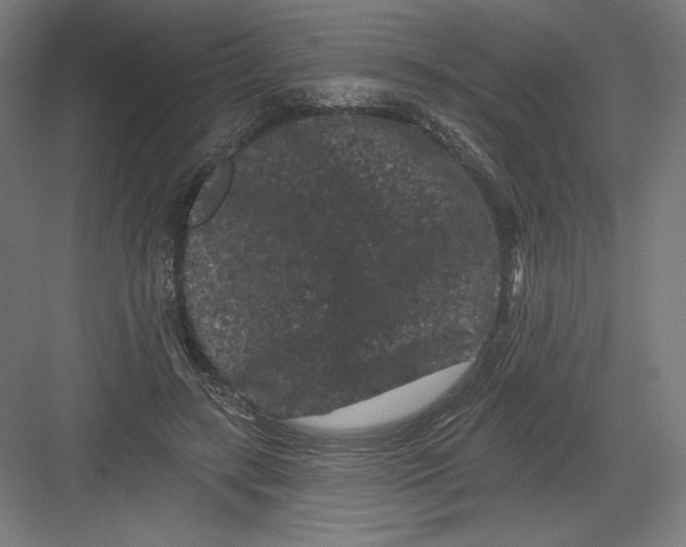 X0000082180547200702092312