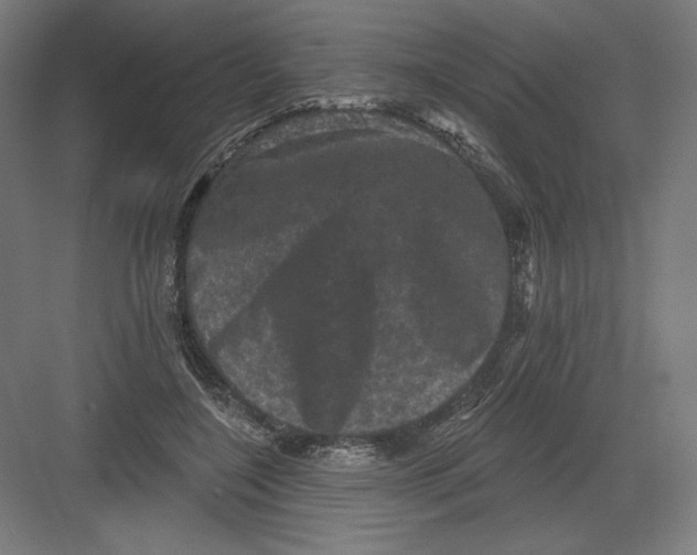 X0000082180548200702092312