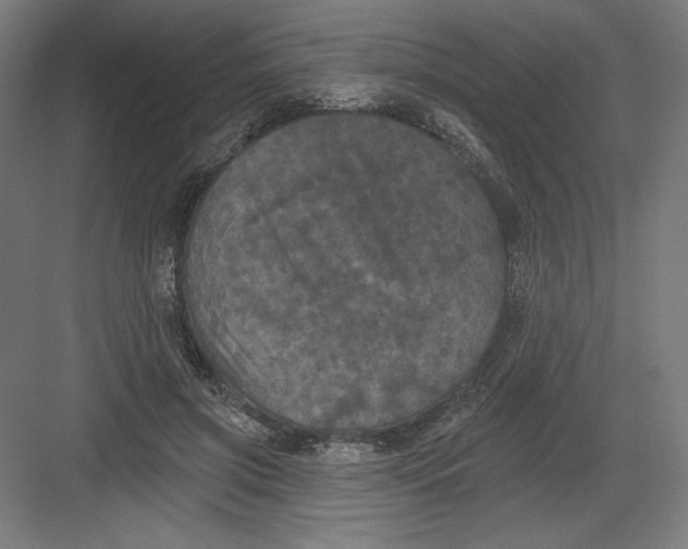 X0000082180549200702092312