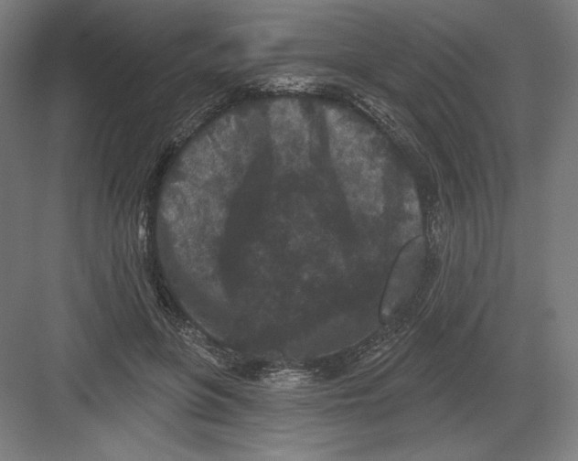 X0000082180551200702092312