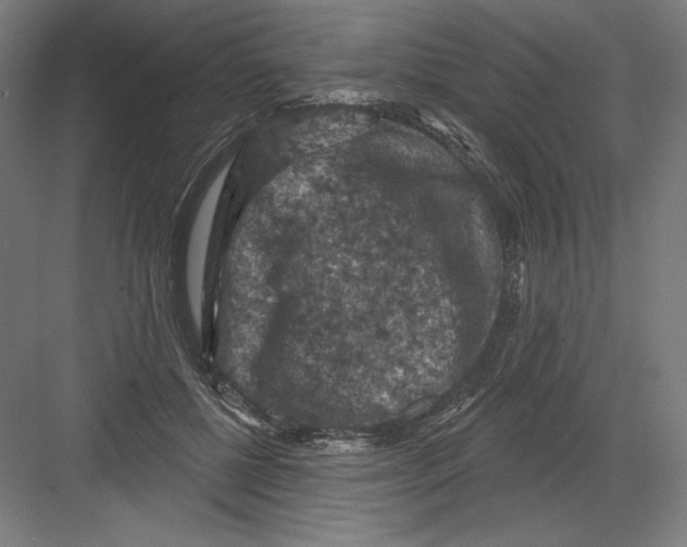 X0000082180552200702092312