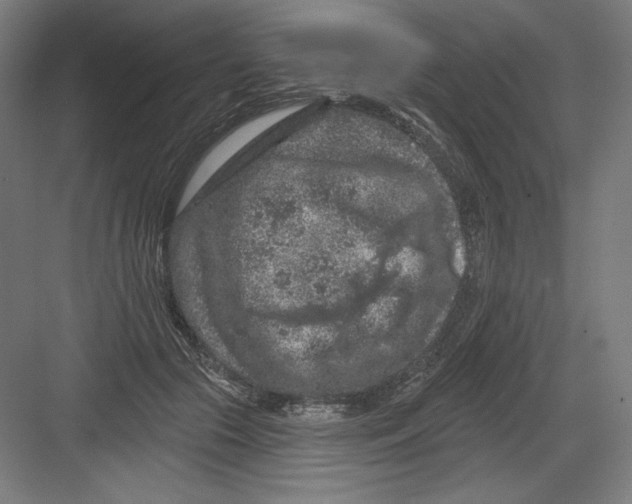 X0000082180553200702092312