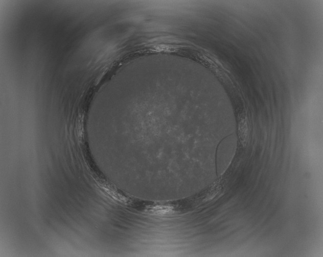 X0000082180554200702092312