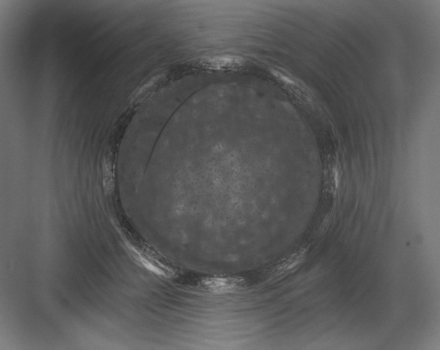 X0000082180558200702092312