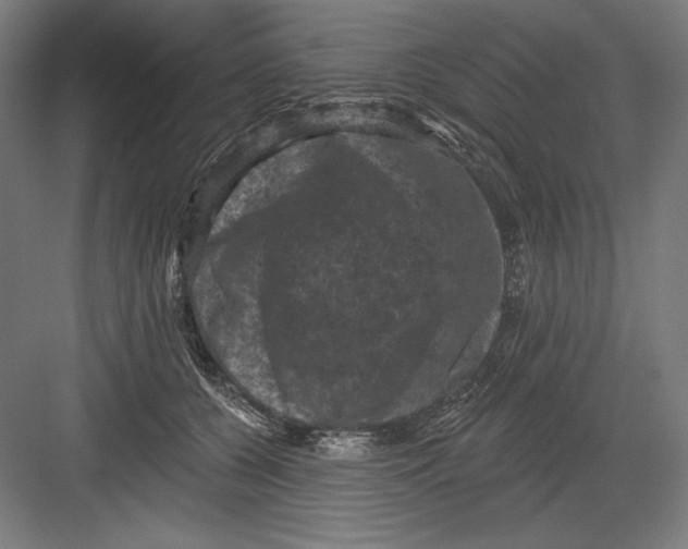X0000082180560200702092312