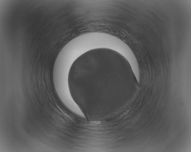 X0000082180562200702092312