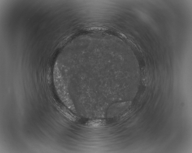 X0000082180563200702092312