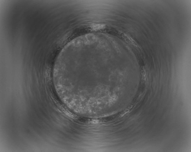 X0000082180565200702092312