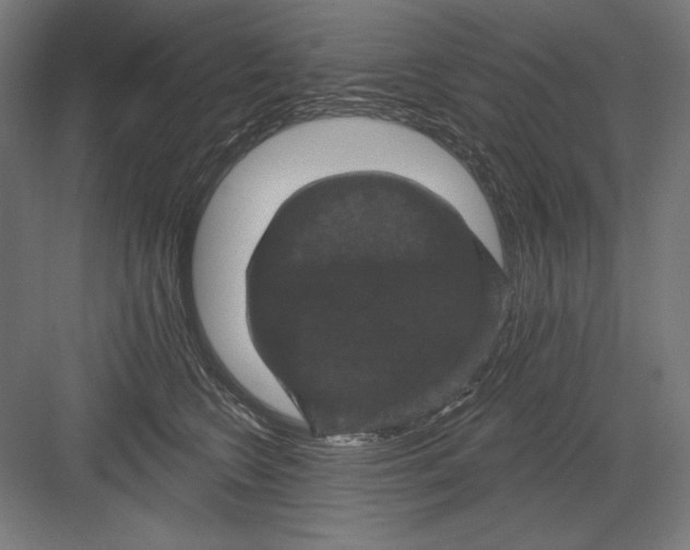 X0000082180566200702092312