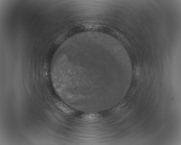 X0000082180567200702092312