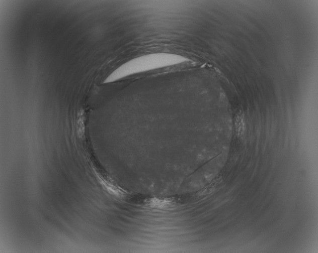 X0000082180570200702092312