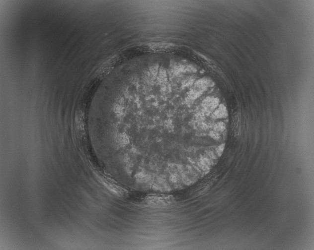 X0000082180571200702092312