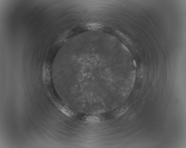 X0000082180572200702092312