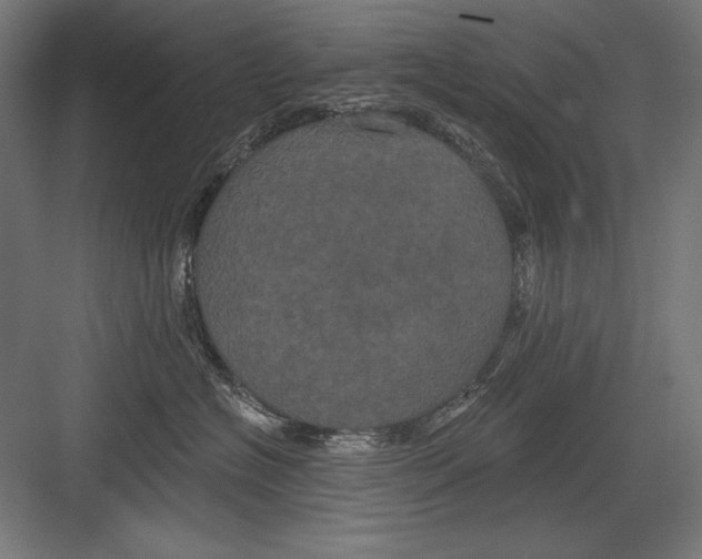 X0000082180574200702092312