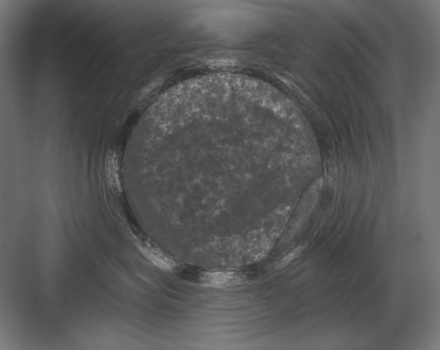 X0000082180575200702092312