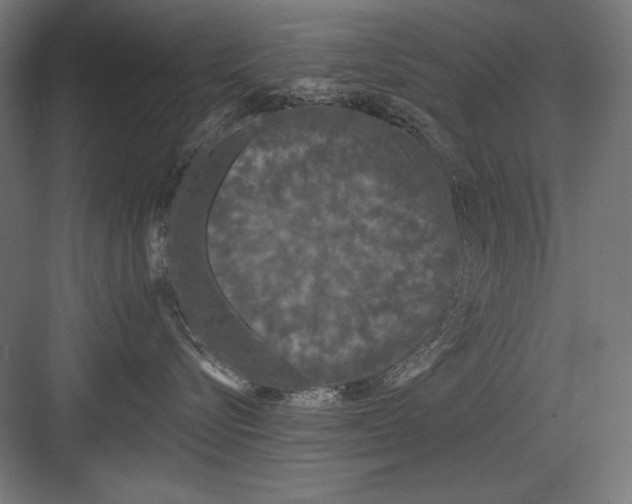 X0000082180576200702092312