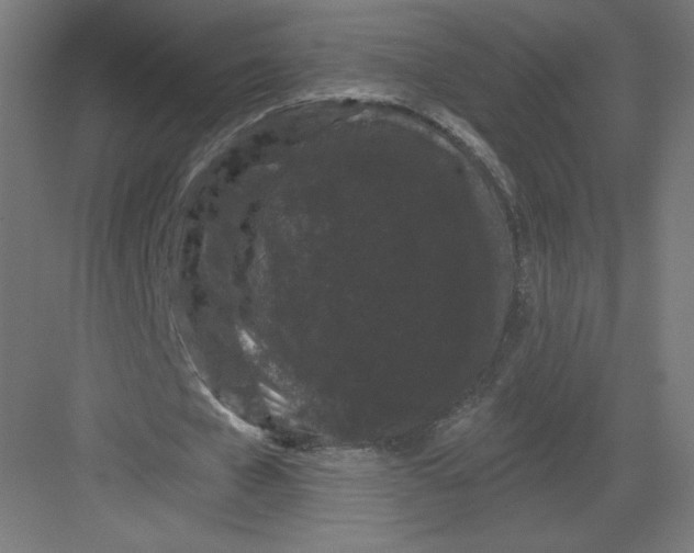X0000082180577200702092312
