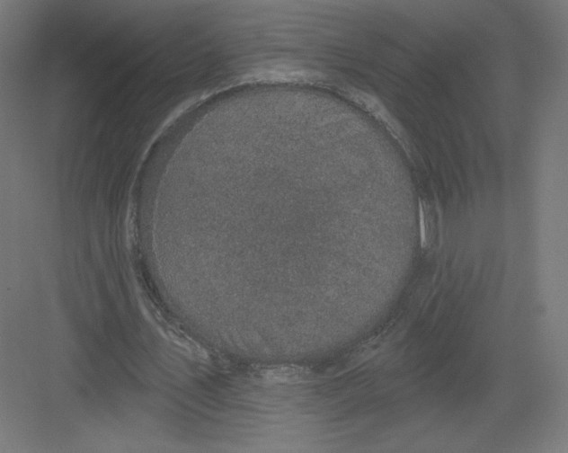 X0000082180579200702092312