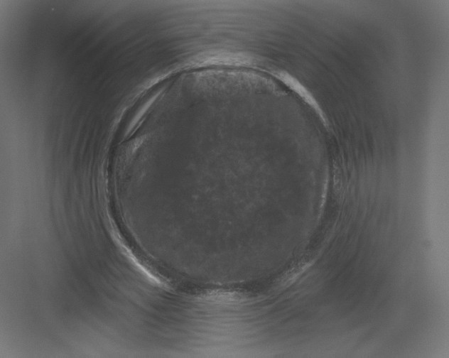 X0000082180581200702092312