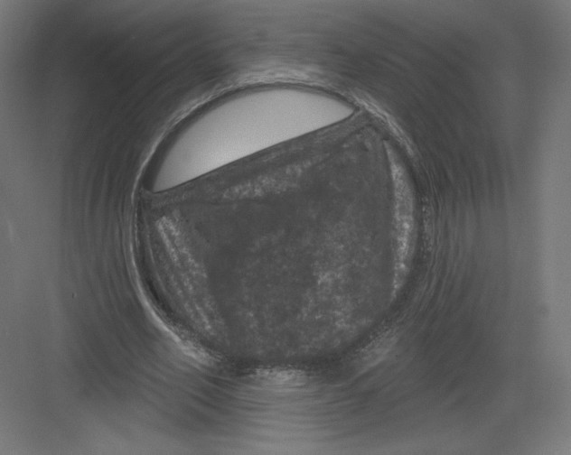 X0000082180582200702092312