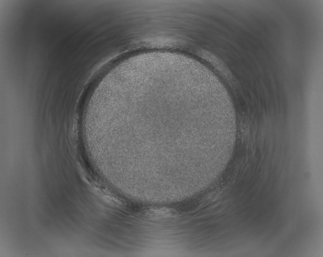 X0000082180583200702092312