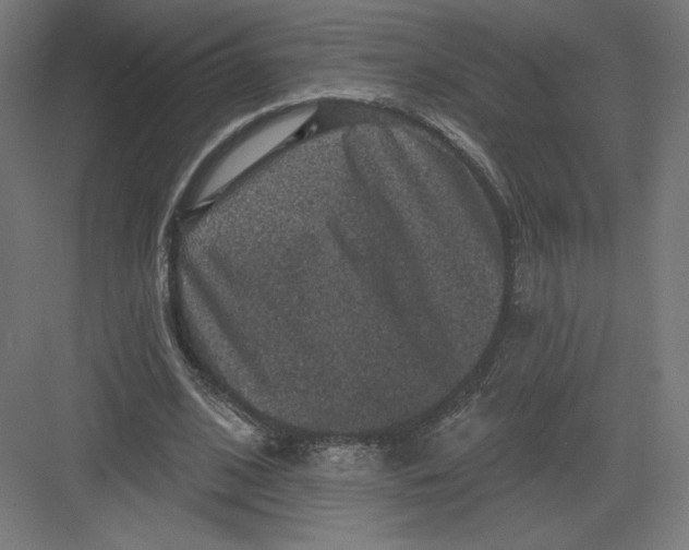 X0000082180584200702092312