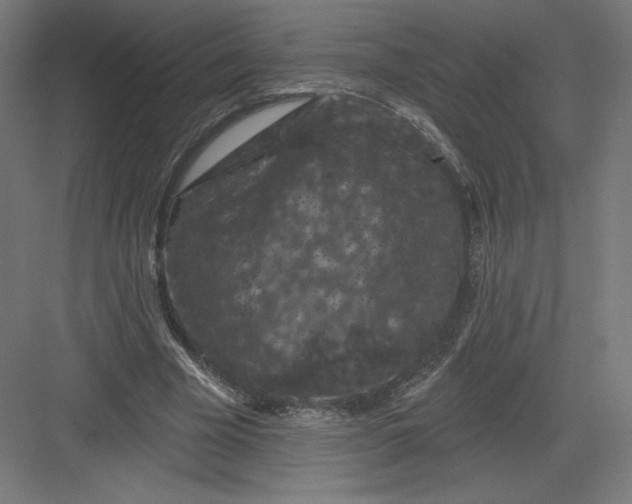 X0000082180585200702092312