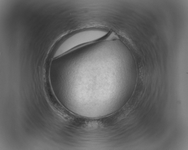 X0000082180587200702092311