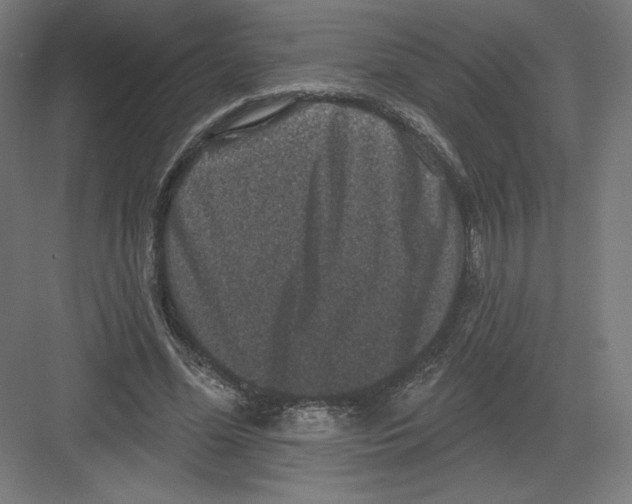X0000082180588200702092311