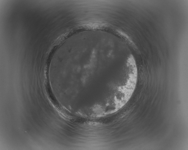 X0000082180590200702092311