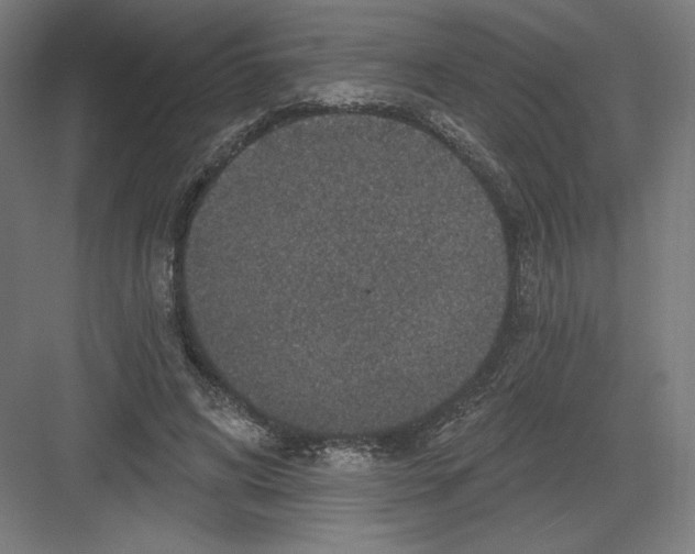 X0000082180592200702092311