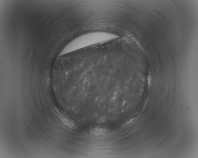 X0000082180593200702092311
