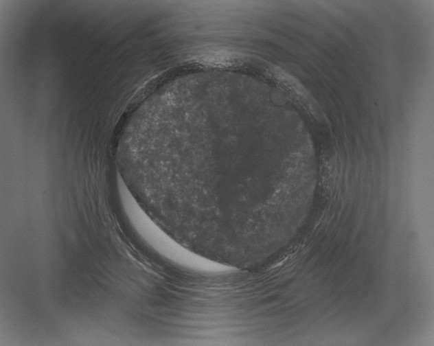 X0000082180596200702092311