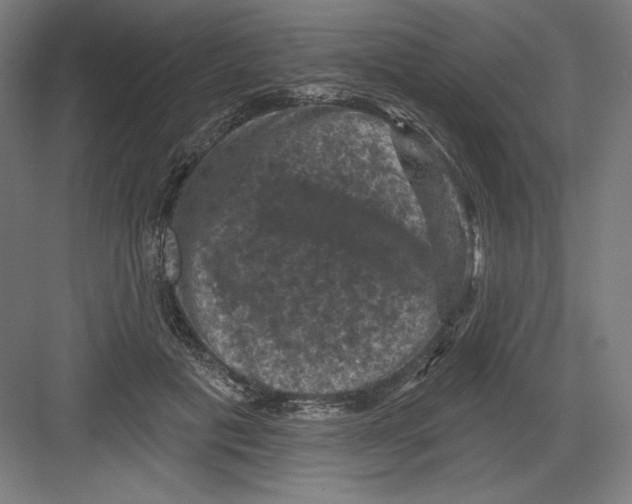 X0000082180601200702092311