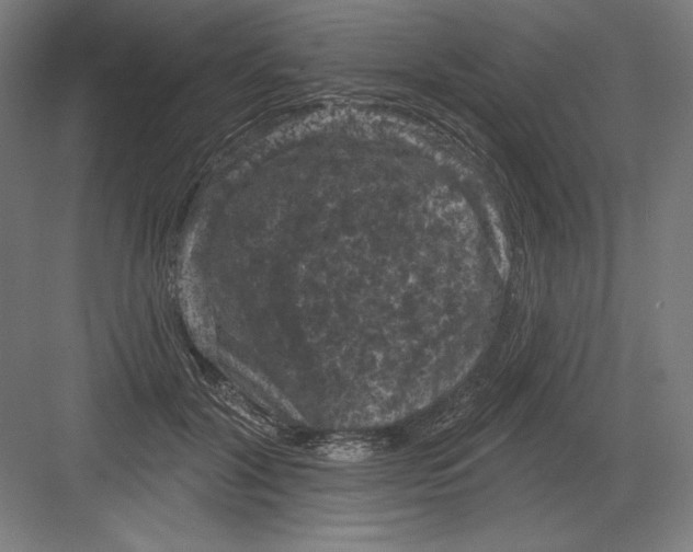 X0000082180604200702092311