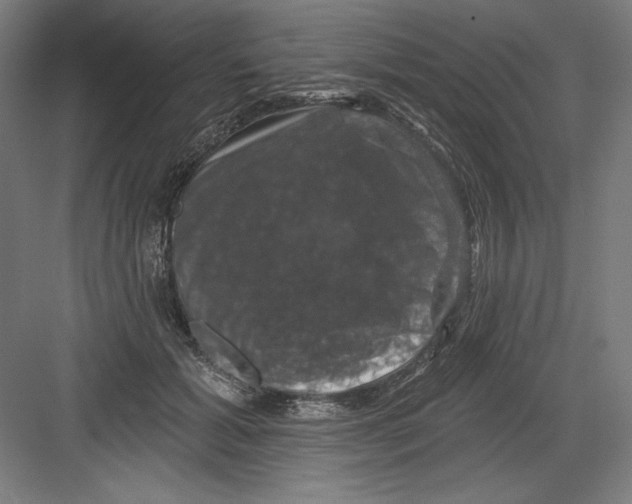X0000082180605200702092311