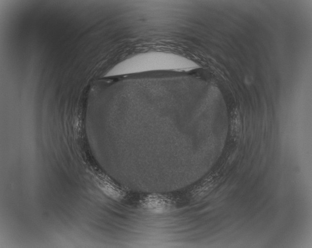 X0000082180608200702092311