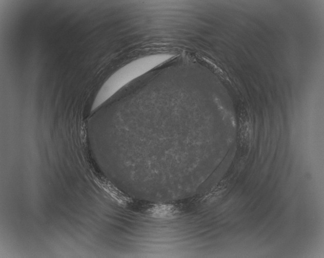 X0000082180609200702092311