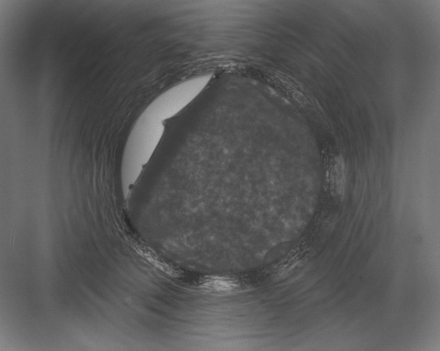 X0000082180610200702092311