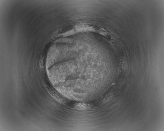 X0000082180611200702092311