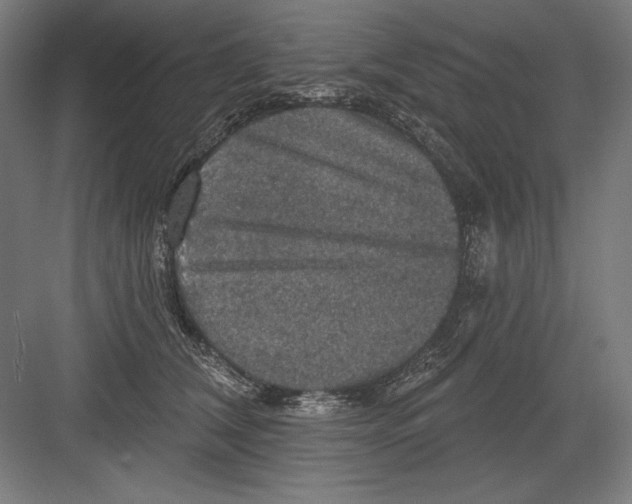 X0000082180612200702092311