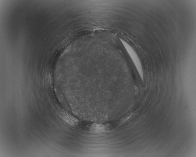 X0000082180613200702092311