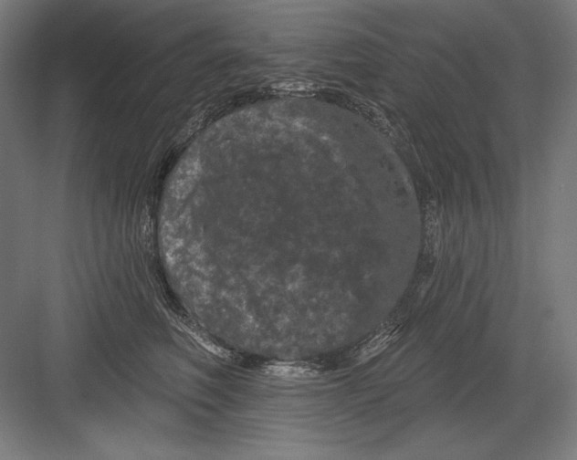 X0000082180614200702092311