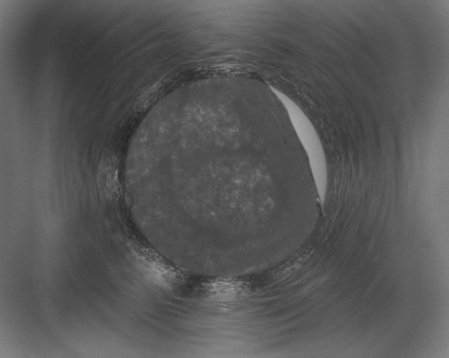 X0000082180615200702092311