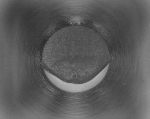 X0000082180616200702092311