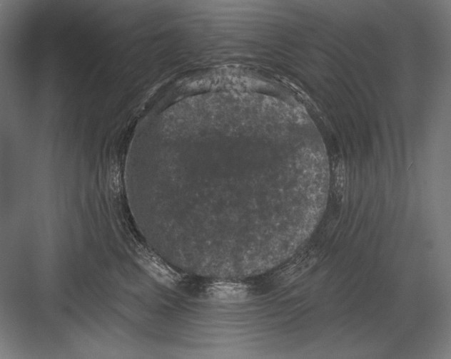 X0000082180617200702092311