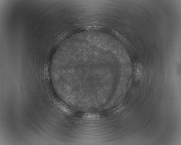 X0000082180619200702092311