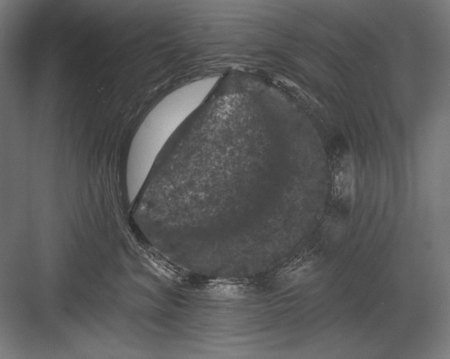 X0000082180620200702092311